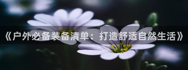 时代先锋娱乐