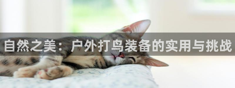 先锋娱乐链接
