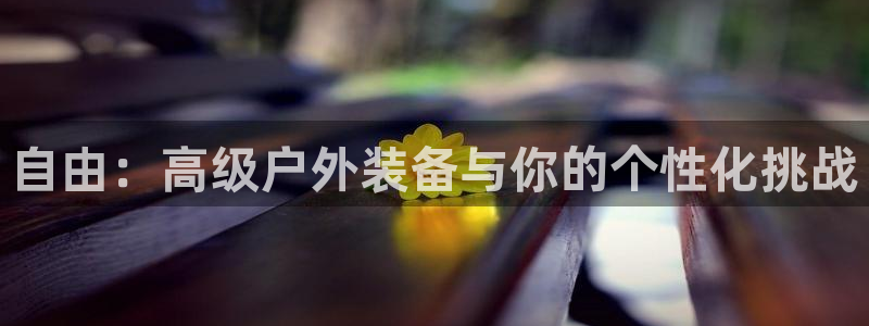 先锋娱乐公司