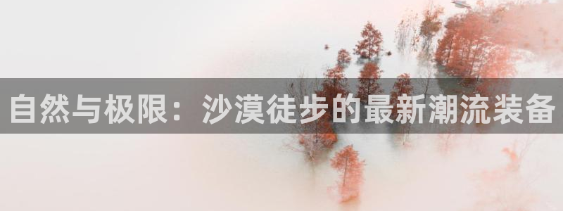 先锋娱乐入口