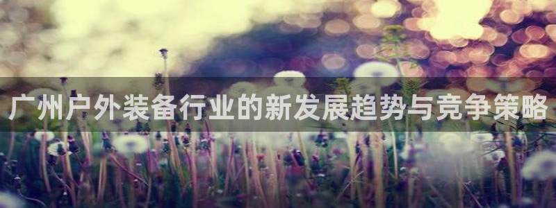 先锋娱乐简介图片
