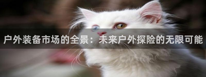 先锋国际娱乐