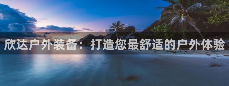 先锋电子车载娱乐系统