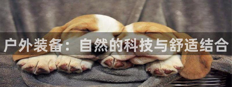 先锋娱乐热点
