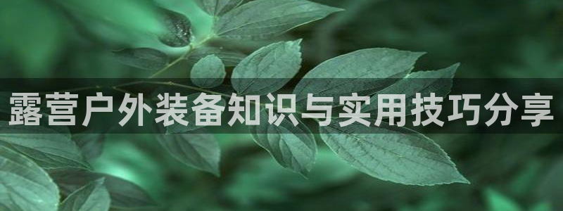吉林先锋娱乐