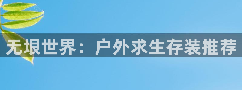 先锋娱乐软件