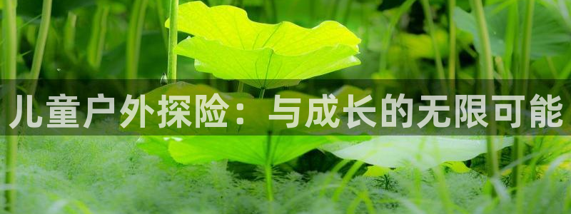先锋娱乐汇
