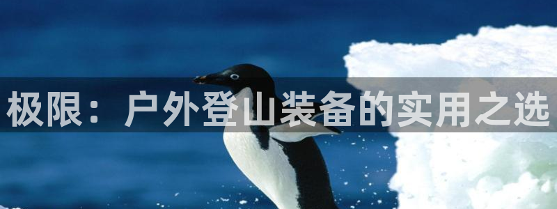 亚洲先锋娱乐跌