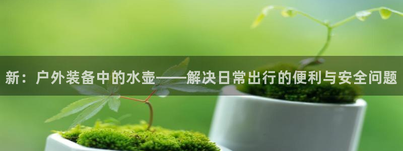 先锋娱乐公司