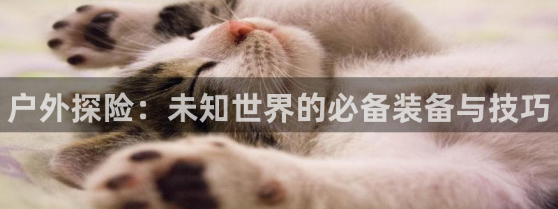先锋娱乐邀请码多少