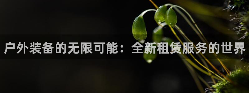 先锋娱乐棋牌