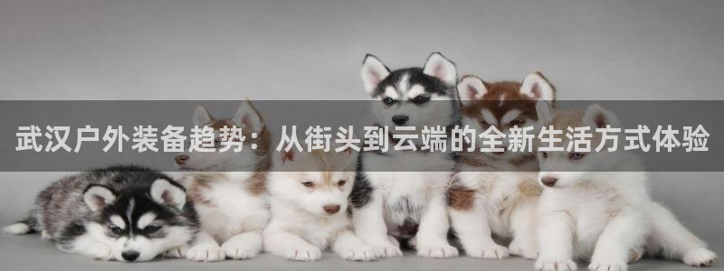 先锋娱乐体育