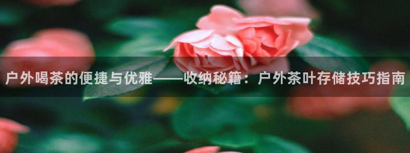 先锋娱乐理财