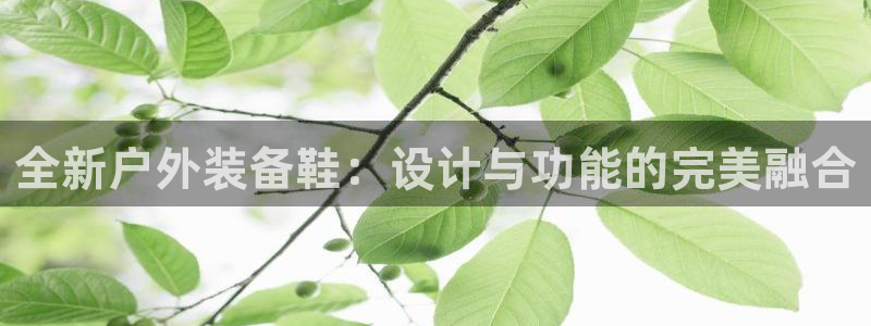 先锋娱乐游戏上分地址