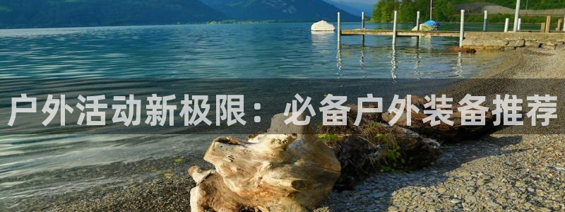 先锋娱乐公司