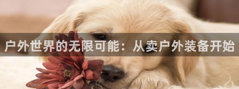 先锋娱乐手机