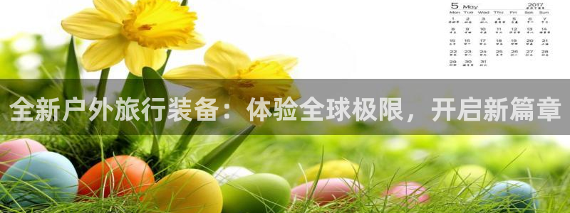 先锋电子车载娱乐系统