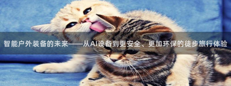 先锋国际娱乐