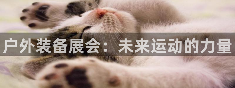 先锋国际娱乐