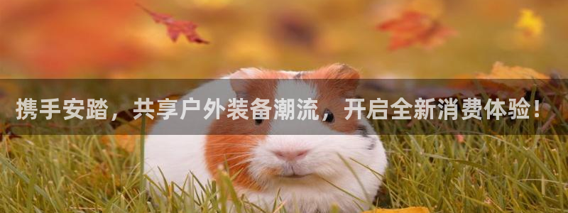 先锋娱乐体育管理集团