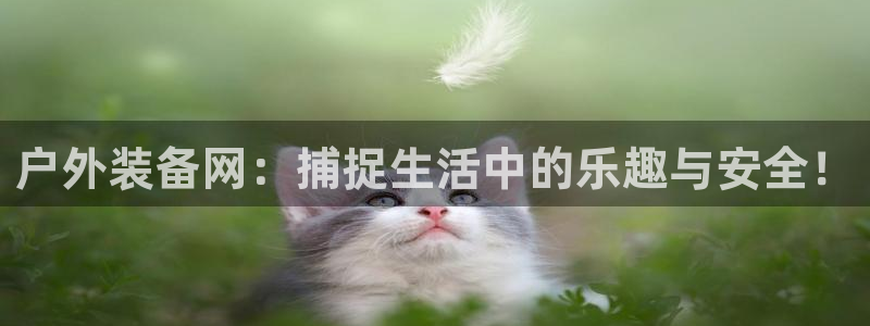 先锋娱乐官
