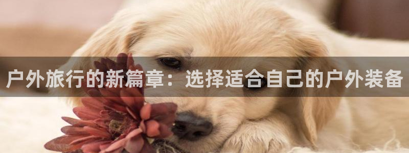 先锋娱乐公司正规吗吗