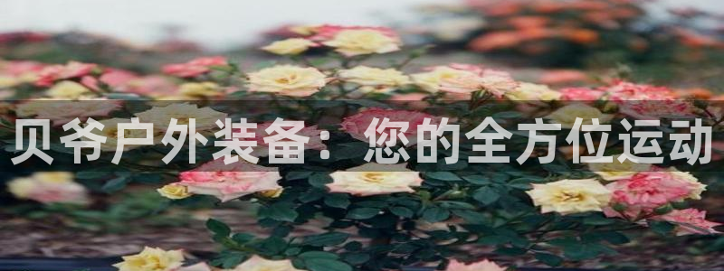 先锋娱乐游戏上分地址