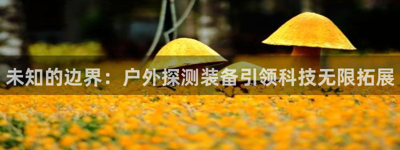 贵州先锋娱乐