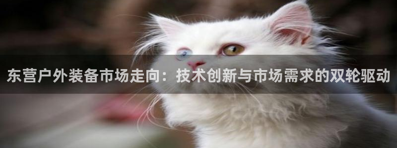 先锋娱乐账号注册不了