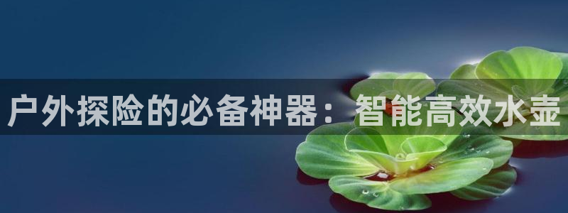 先锋队娱乐