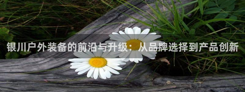 先锋娱乐在哪下载