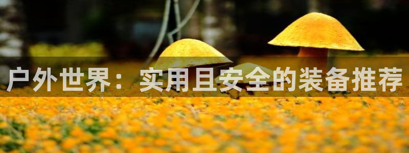 先锋娱乐集团