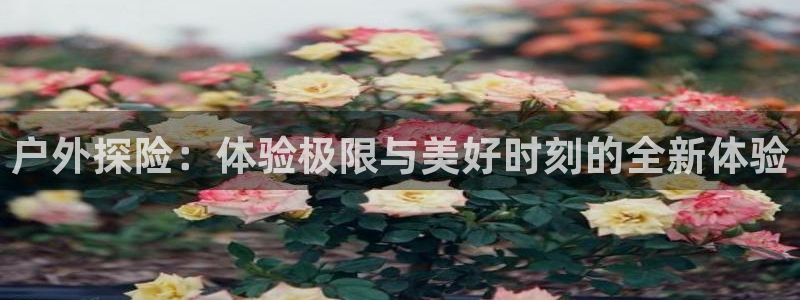 先锋娱乐转进去钱