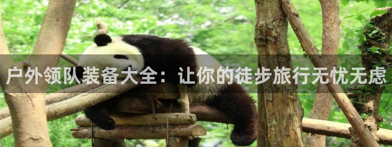 先锋娱乐软件
