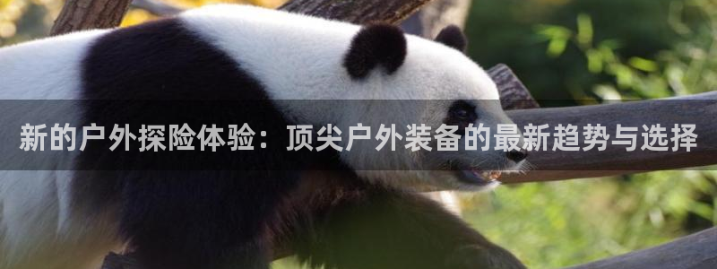 先锋娱乐游戏上分地址