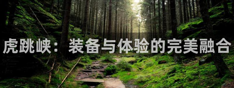 先锋娱乐传媒