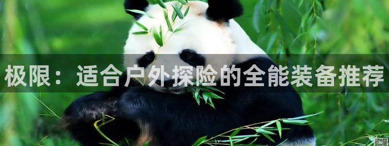 时代先锋娱乐