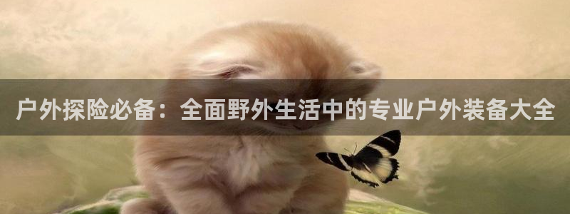大连先锋娱乐