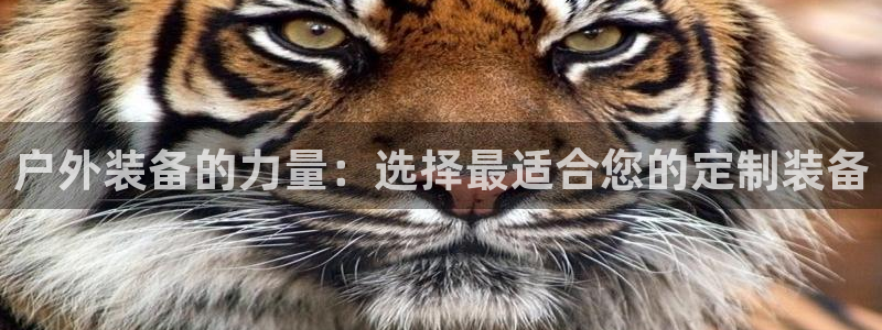 先锋娱乐资讯