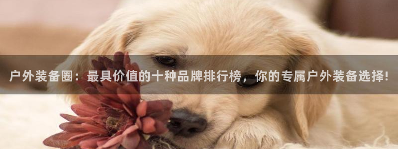 先锋娱乐软件