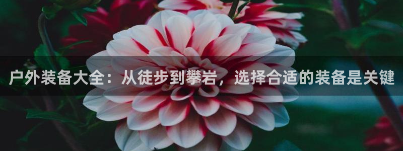 先锋娱乐情报
