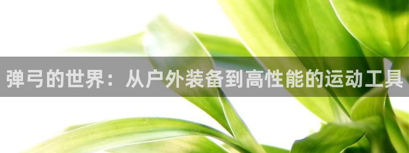 先锋娱乐垫付金额