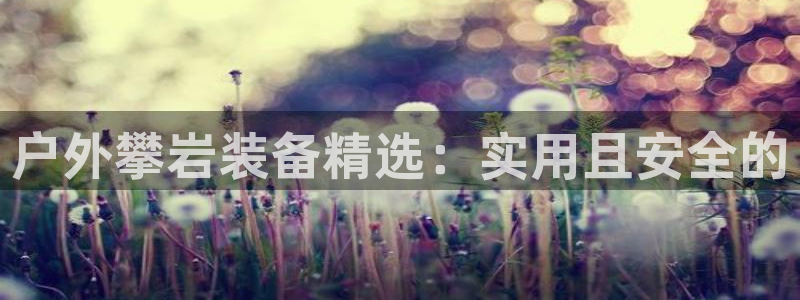先锋娱乐入口