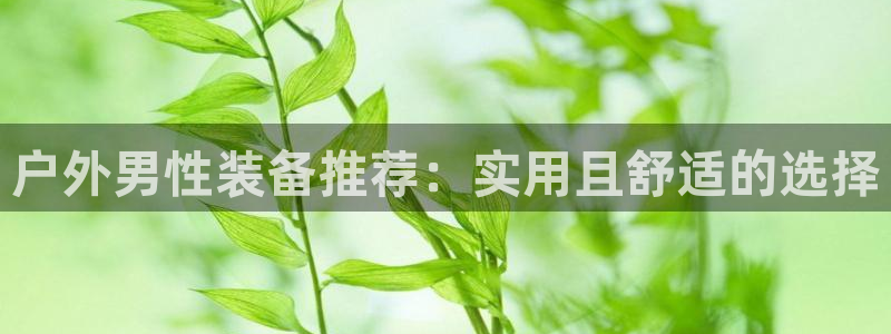 威斯汀娱乐先锋