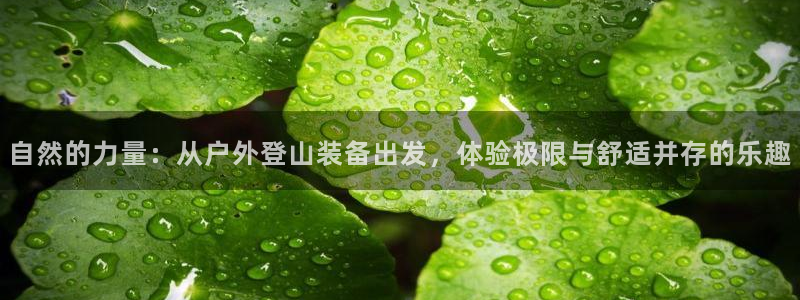 先锋娱乐快讯