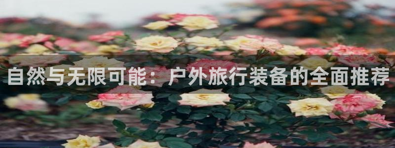 先锋电子旗下先锋娱乐