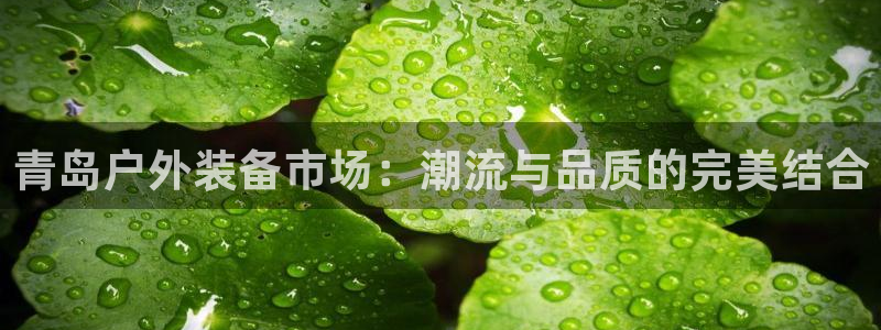 先锋娱乐垫付金额