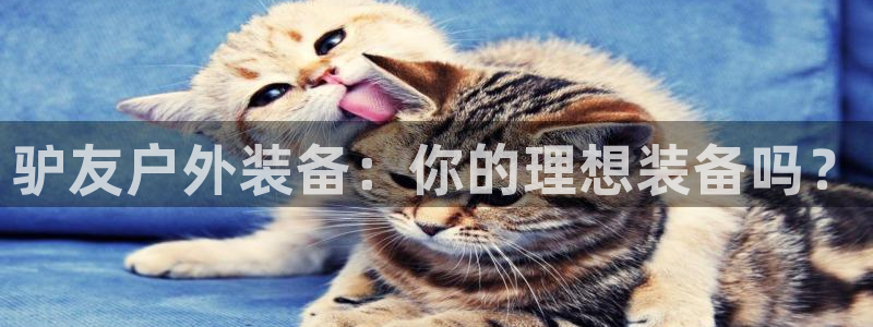 先锋游戏娱乐