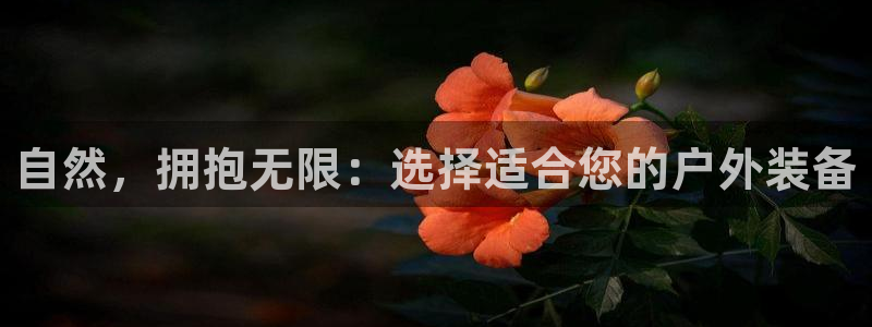 先锋娱乐股票