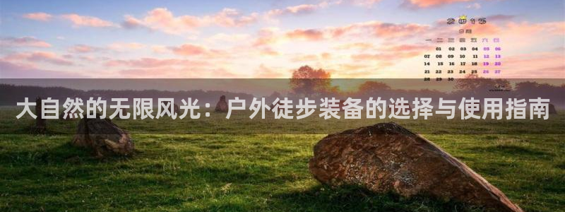 先锋娱乐集团公司